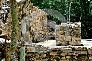 CobÃ¡, site of pre-Columbian Mayan culture.