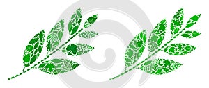 Coca Plant Leaves Icon Eco Composition of Leaves