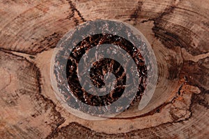 Cocada Coconut Candy on Rustic Wood Background