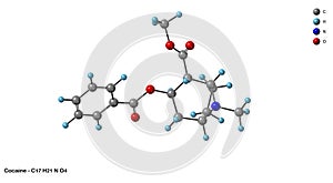 Cocaine C17H21NO4 Molecular Structure Diagram