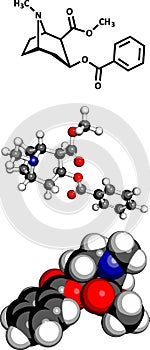 Cocaine drug, molecular model