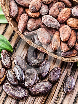 Cocao pod and cocao beans.