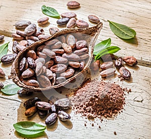 Cocao pod and cocao beans.