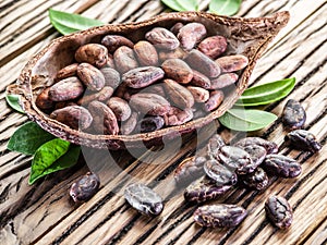 Cocao pod and cocao beans. photo