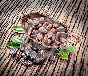 Cocao pod and cocao beans. photo