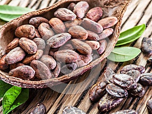 Cocao pod and cocao beans on the wooden table. photo