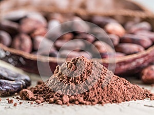 Cocao powder and cocao beans. photo