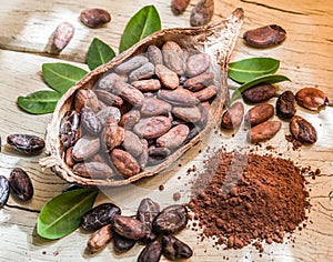 Cocao powder and cocao beans. photo