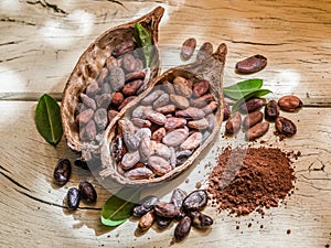 Cocao powder and cocao beans. photo