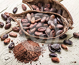 Cocao powder and cocao beans. photo