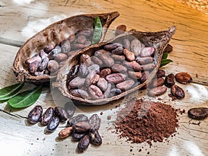 Cocao powder and cocao beans. photo