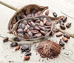 Cocao powder and cocao beans. photo