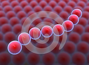 Cocci Shape of bacteria. streptococci type Bacteria.