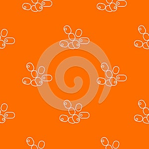 Coccus bacilli pattern vector orange