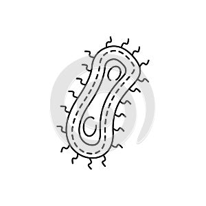 coccus, bacteria, education line icon on white background