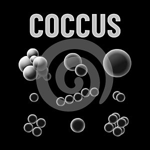 Coccus bacteria types monochrome vector illustration on black background. Virus concept photo