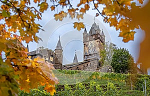 Cochem, Germany - Cochem Castle Framed in Autumn Leaves