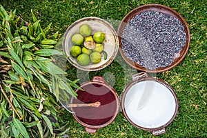 Cochineal dye peruvian Andes Cuzco Peru photo