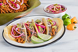 Cochinita Pibil, Mexican tacos Mayan cuisine from Yucatan Mexico photo