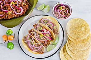 Cochinita Pibil, Mexican tacos Mayan cuisine from Yucatan Mexico photo