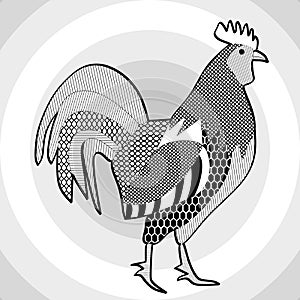 Cock, black and white drawing. Hatched picture of majestic rooster on concentric circle patterned gray background.