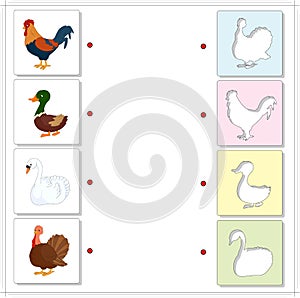 Cock, drake, gobbler and swan. Educational game for kids