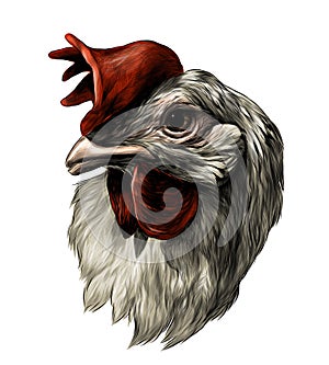 Cock head