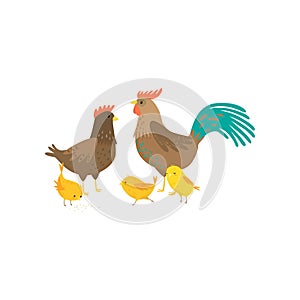 Cock, hen and three yellow chickens in yard isolated on white background