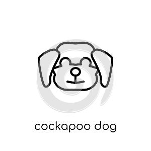 Cockapoo dog icon. Trendy modern flat linear vector Cockapoo dog photo