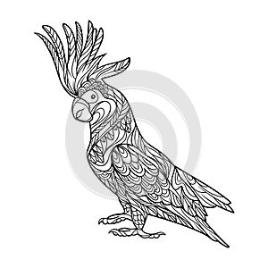 Cockatoo parrot coloring book for adults vector