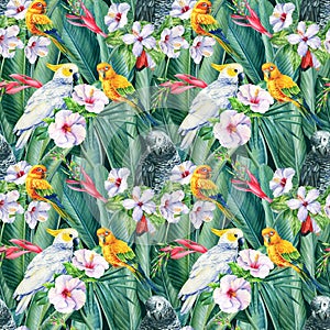 Cockatoo Tropical birds parrots, exotic jungle plants leaves, flowers. abstract background. seamless pattern