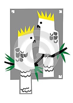 Cockatoos