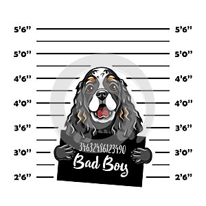 Cocker Spaniel bad boy. Dog criminal. Arrest photo. Police records. Dog prison. Police mugshot background. Vector.