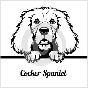 Cocker Spaniel - Peeking Dogs - - breed face head isolated on white