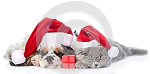 Cocker Spaniel puppy and tiny kitten with gift box sleeping in red santa hats. isolated on white