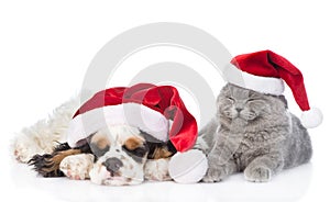 Cocker Spaniel puppy and tiny kitten with gift box sleeping in red santa hats. isolated on white background