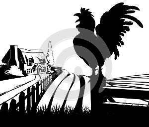 Cockerel crowing farm illustration