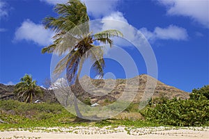 Cockleshell beach in St Kitts, Caribbean