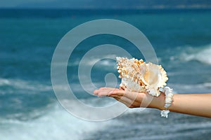 Cockleshell in a female palm