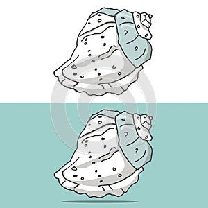 Cockleshell illustration vector geometric drawing shell font color element sea ocean life blue texture font top view clip art on w