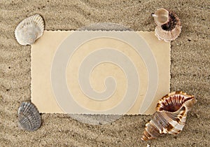 Cockleshells, paper on sand