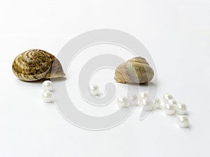 Cockleshells and pearls