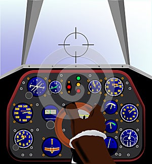 Cockpit