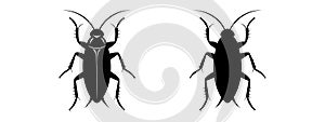 Cockroach black silhouettes, detailed and solid. Insect vector illustration set. White backdrop. Concept of pest control