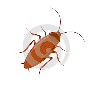 Cockroach bug vector icon. Roach silhouette insect black icon illustration pest.