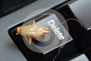 Cockroach delete idea