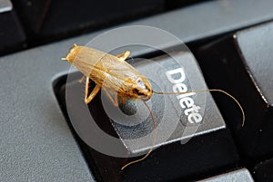 Cockroach delete idea