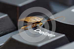 Cockroach delete idea