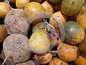 Cockroach feeding on fruit in market