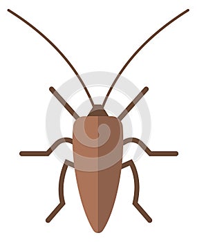 Cockroach flat icon. Pest symbol. Color insect